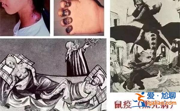 鼠疫让老鼠陷入人人喊打局面，为什么鼠疫还是难以根除[难以根除]？