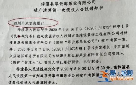 绵阳破产管理人被指未尽责|近亿元项目被半价转让[未尽责]？