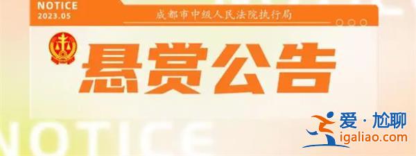 成都中院发布悬赏公告|举报线索，最高奖励超一千万[悬赏公告]？