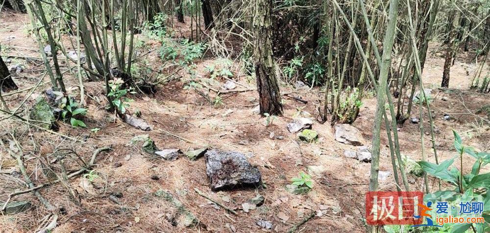 9岁男孩失踪13年后尸骨现身山林地缝 两名村妇被警方带走？