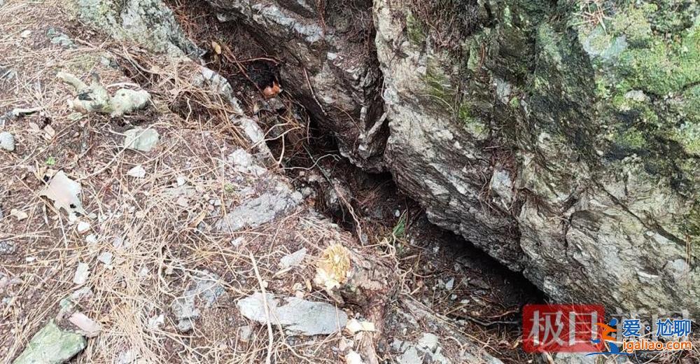 9岁男孩失踪13年后尸骨现身山林地缝 两名村妇被警方带走？