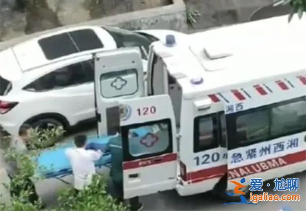 从26楼撑伞跳下男童目前生命体征比较平稳？