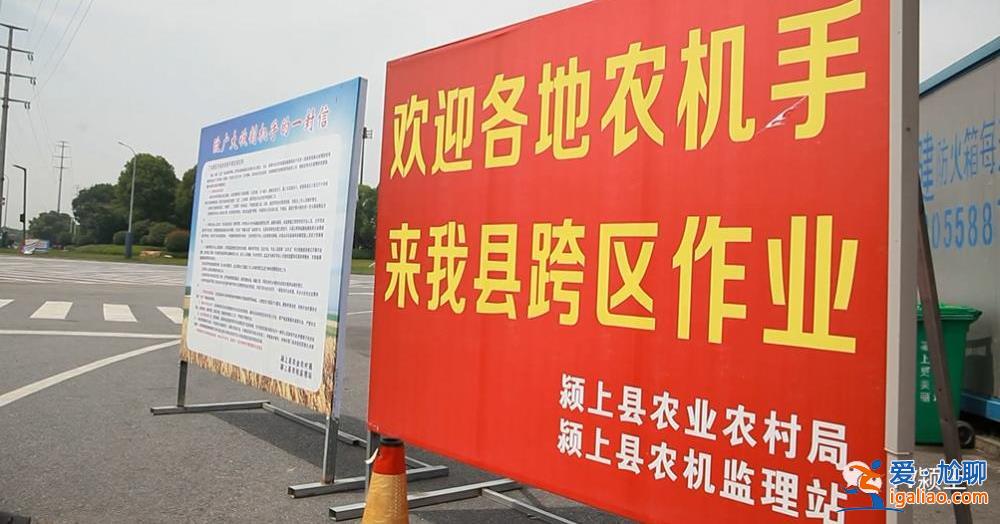 夏收在即 上百台收割机不让下高速？河南安阳回应 安徽一地做法获赞？