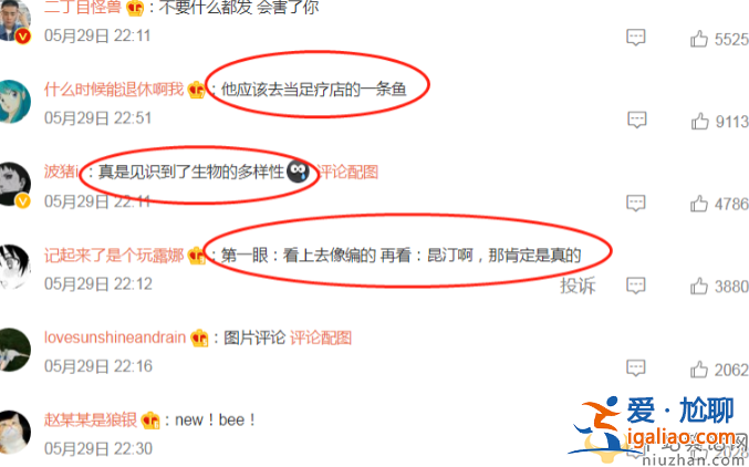 昆汀三部曲是哪三部?曝昆汀花1万美元在夜店舔美女的脚