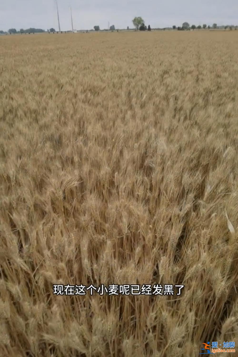 主要是因连续降雨？