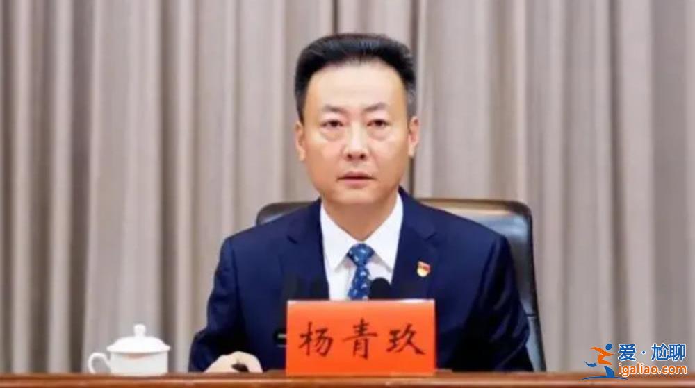 全国31省份省级公安厅厅长全部调整到位？