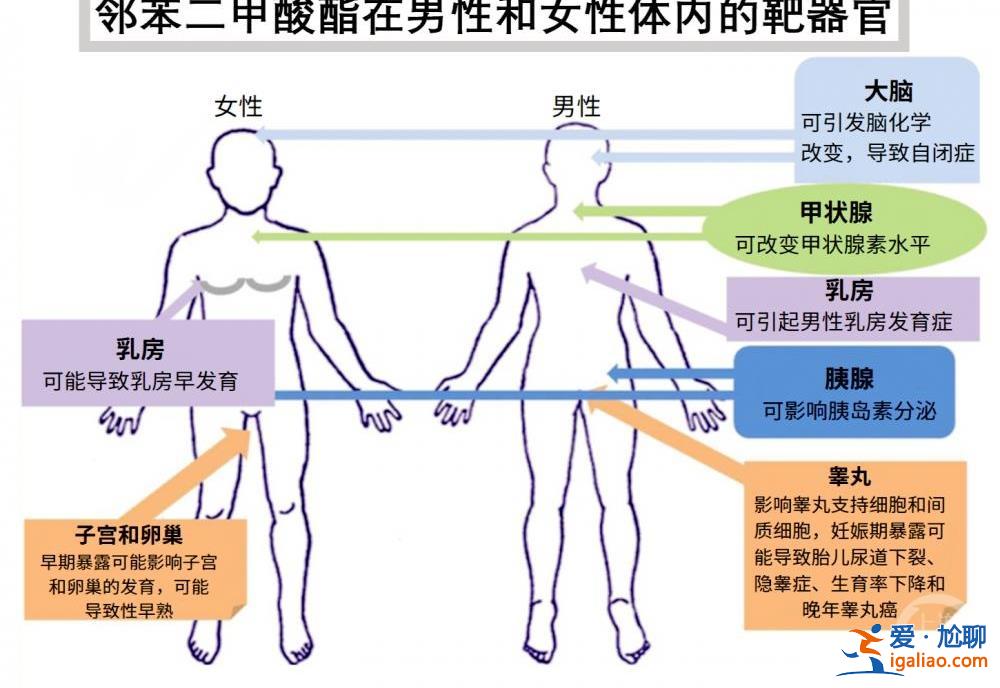 环保组织网购儿童凉鞋发现近六成是“三无”产品 增塑剂最高超标780倍易致儿童性早熟哮喘？