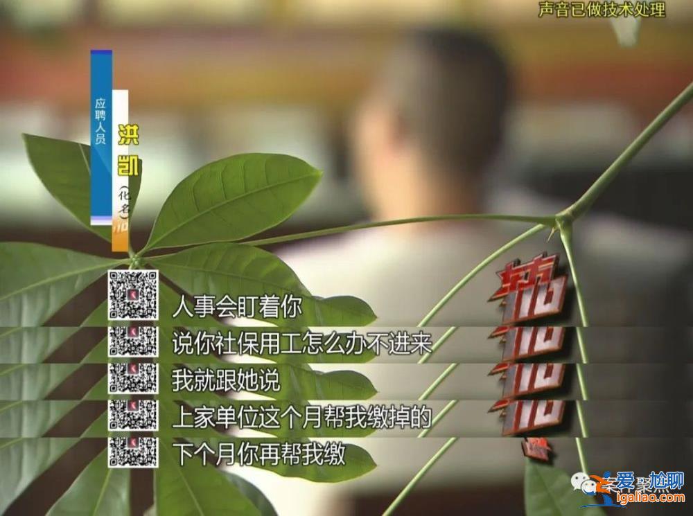 职业骗薪！上海一对夫妻两年入职300家公司骗工资 月收入超60万？