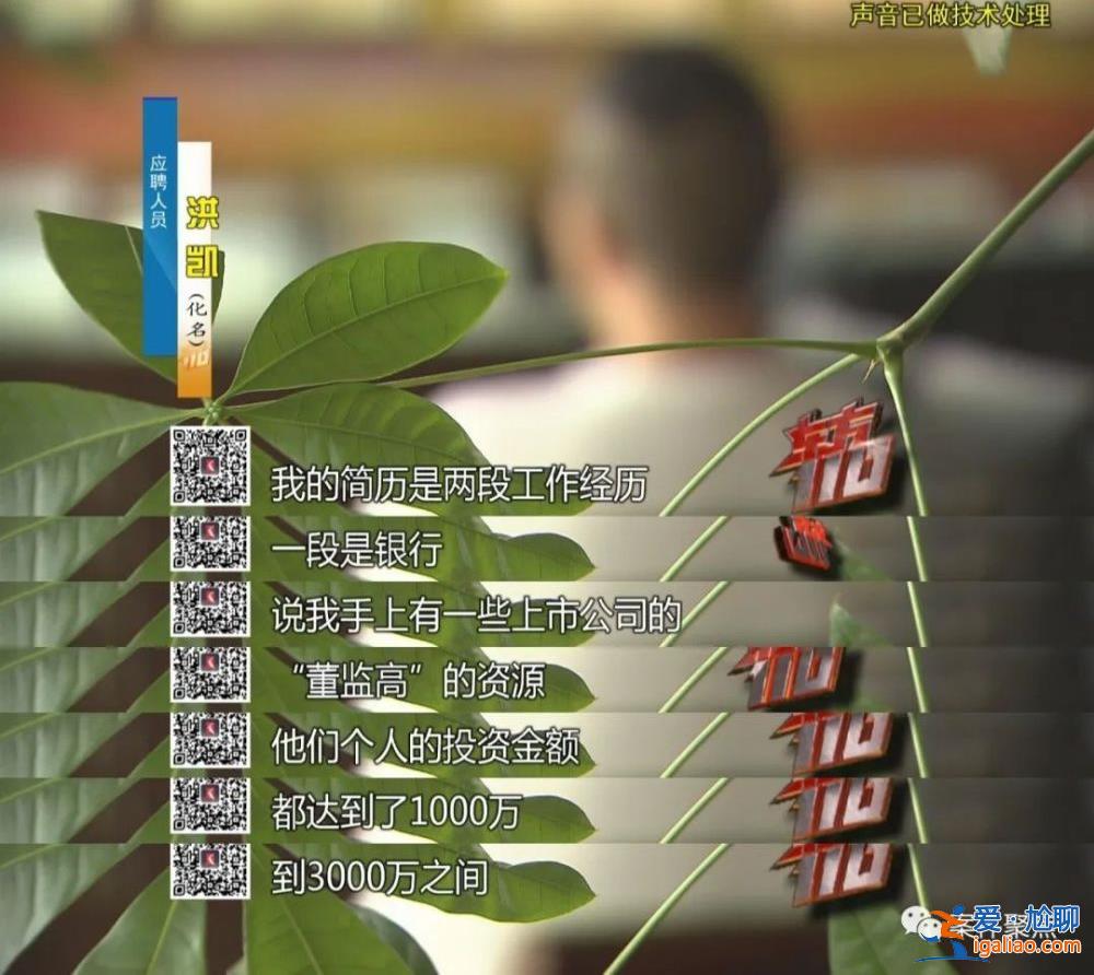 职业骗薪！上海一对夫妻两年入职300家公司骗工资 月收入超60万？