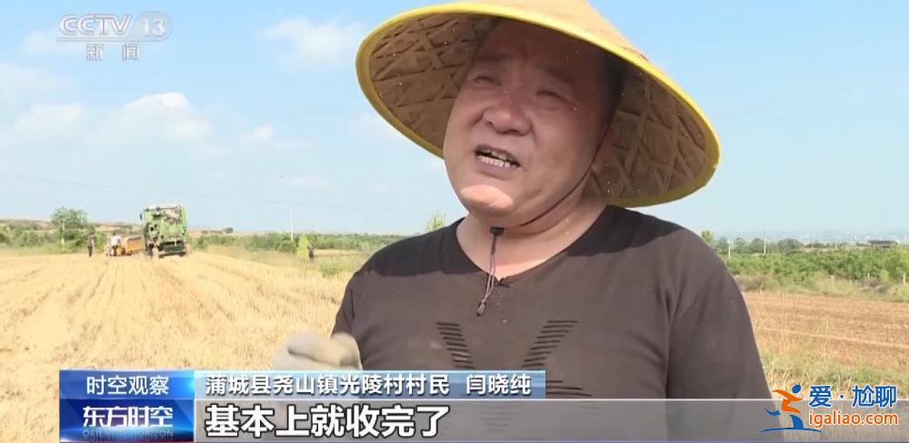 小麦渐熟 “烂场雨”下的三夏怎么“抢”？？