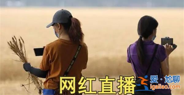网红扎堆到麦地直播割麦，是虚伪还是真心帮助[扎堆]？