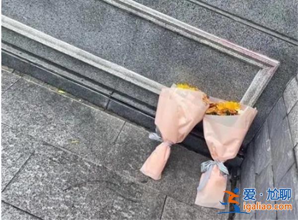 武汉校园被撞致死小学生的母亲坠楼身亡，人们为何要如此针对一位母亲[武汉]？