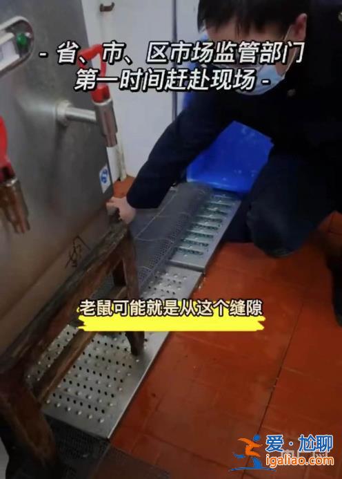 一高校食堂疑吃出老鼠头学校回应是鸭脖 校方曾因老鼠问题被联合执法？