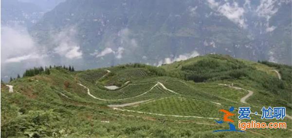 四川乐山发生高位山体垮塌事故，意外将造成14个人死亡[14人死亡]？