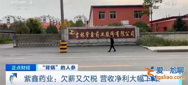 11万股民懵了 “人参之王” 22个跌停 迎来退市 紫鑫药业？