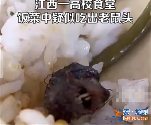 媒体|鸭脖罗生门关键信息未披露怎样处理[关键信息未披露]？