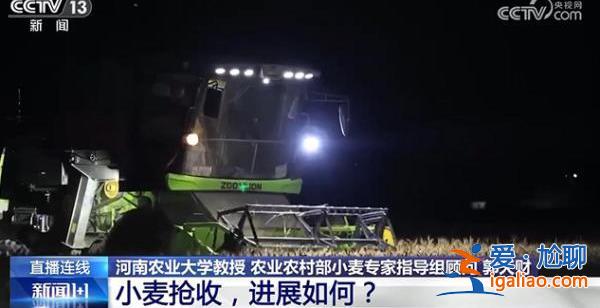 小麦抢收进展如何？面对“烂场雨”还要在哪些方面补短板？？