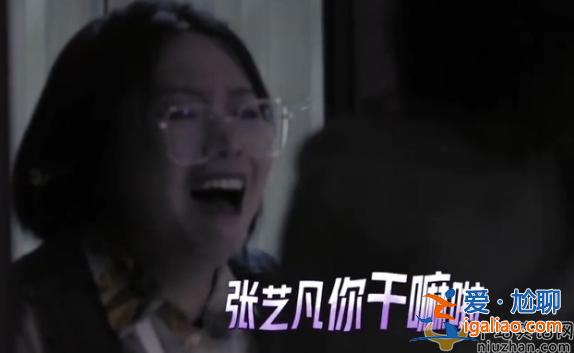 张艺凡打李雪琴是真的吗?张艺凡李雪琴是什么节目?