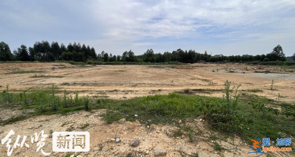四川一招商引资项目停工荒废 村民称当初不同意土地流转反遭副镇长呵斥“有多远滚多远”？