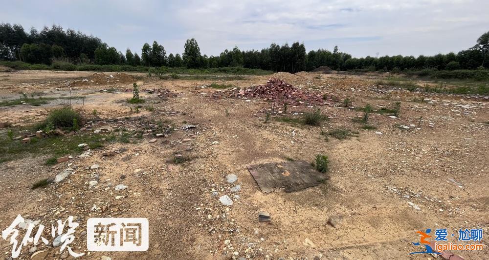 四川一招商引资项目停工荒废 村民称当初不同意土地流转反遭副镇长呵斥“有多远滚多远”？