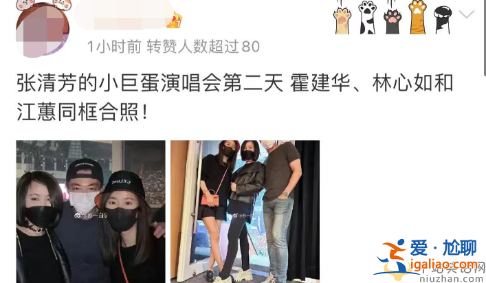 霍建华林心如离婚了吗?罕见同框会友女方的腿淤青瞩目