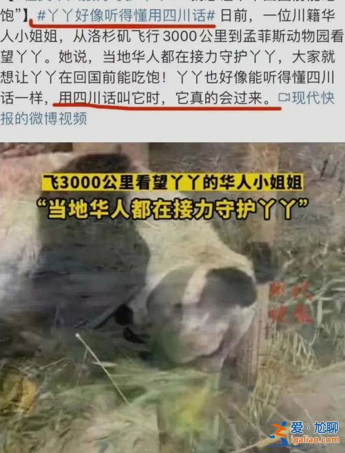 被笃信的谣言 被围攻的科普？