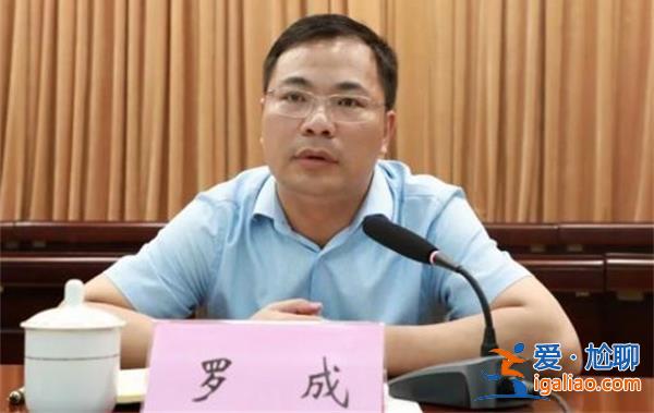 广西平果市委书记罗成因个人原因辞去人大代表职务，获批[罗成]？