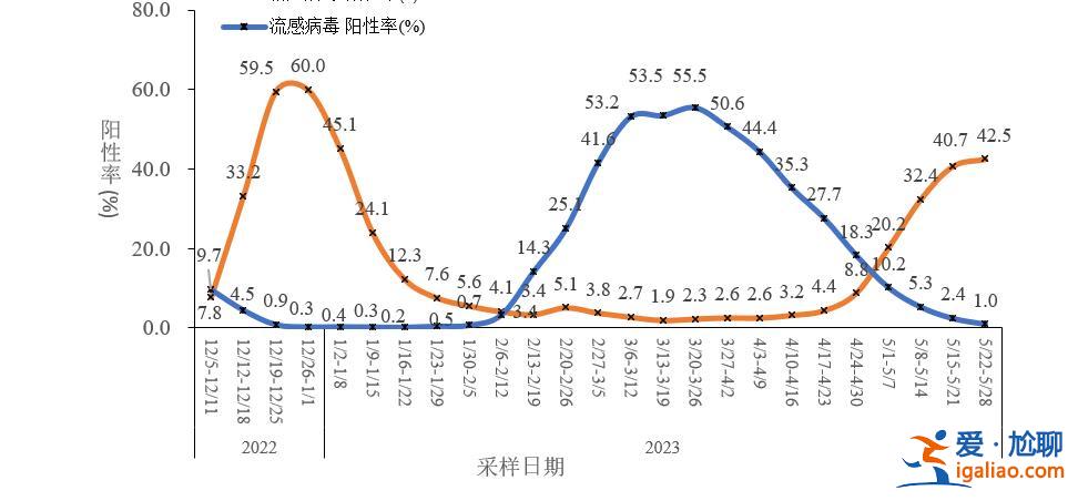 XBB及其亚分支占比增长到92.4% 疫情呈下降趋势？