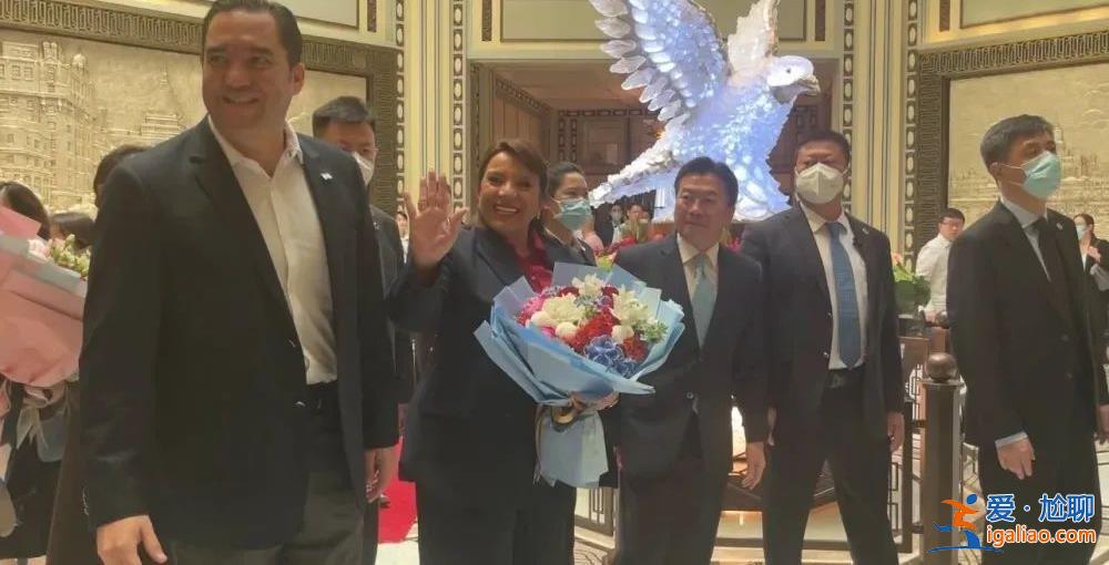 从“第一夫人”到“第一总统” 跨洋而来的她不简单？
