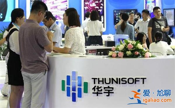 华宇软件单位行贿罪被罚300万，实控人获刑两年半有期徒刑[罚款]？