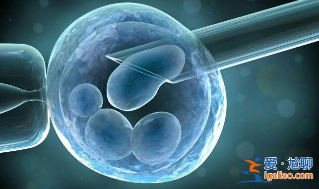 移植5bb囊胚成功率高不高?5bb囊胚质量如何?？