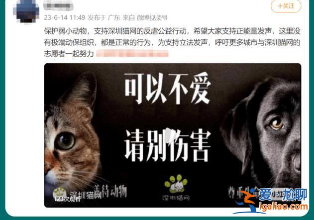 深圳地铁反虐动物广告遭投诉 “阴暗角落”再引争议？