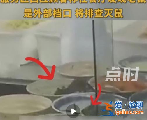 服务区菜盆中惊现老鼠 卫生方面能否过关？