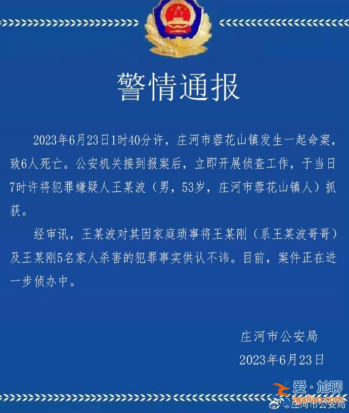 辽宁庄河一男子因家庭琐事将哥哥一家六口杀害 警方通报？