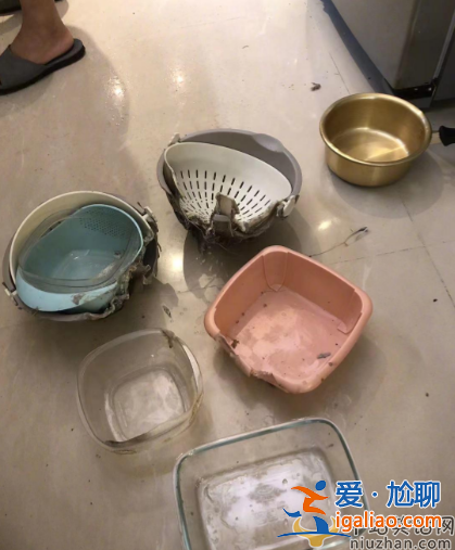 歌手黄安现状曝光!家里发生瓦斯爆炸，亲人意外被灼伤