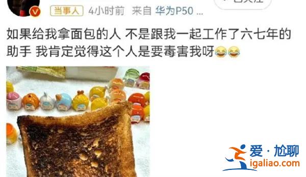 助手给白百何吃烤焦的面包 助手为何让白百何吃面包？