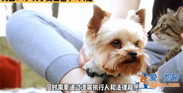 女子去世7只猫继承217万遗产，猫真的继承遗产吗[ 7只猫]？