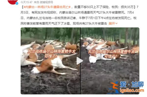 内蒙古一林场27头牛被雷击死亡，为何引发雷击[死亡]？