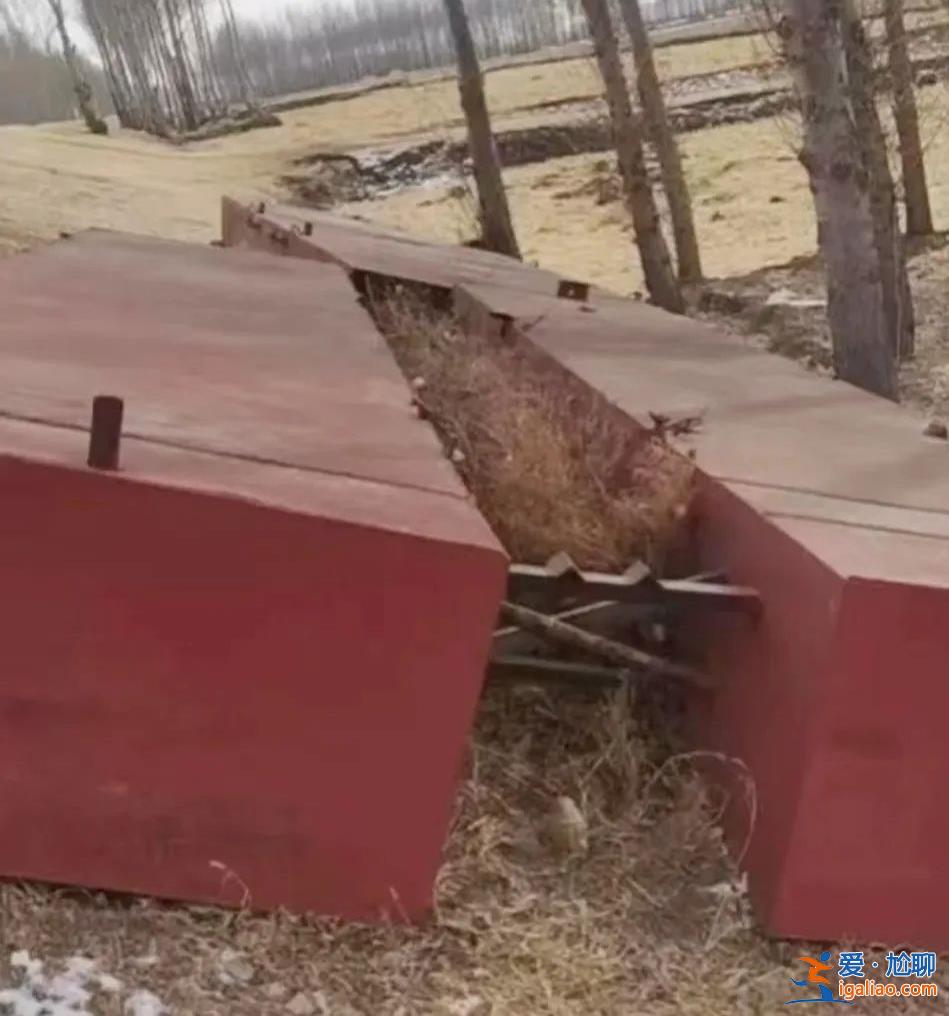 私建桥非孤例 主管部门曾因不作为被诉？