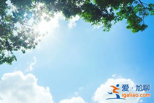 长达40天的三伏来袭 你准备好进入“烧烤+桑拿”模式了吗？？