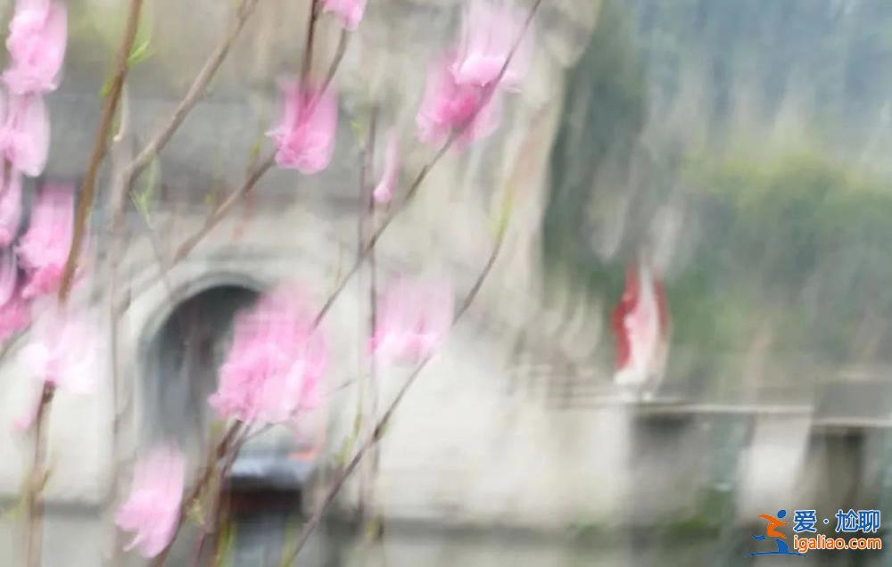 “糊不糊”的摄影大展 大家“服不服”？？
