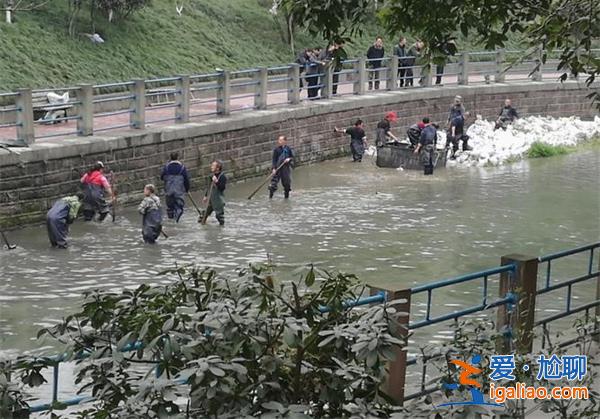 花34亿给河道贴瓷砖，工人称浪费，真是这样吗[工人称浪费]？