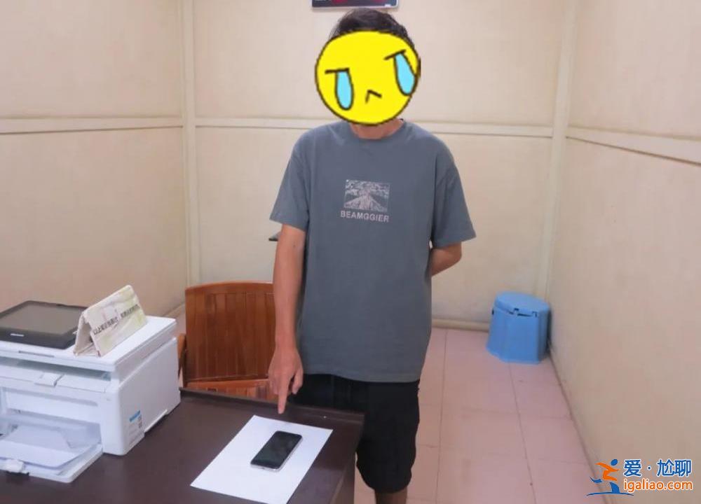 假的 系野生动物园拍摄？