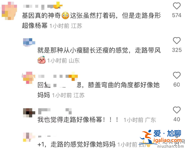 小糯米抚养权归谁了?曝刘恺威带女儿游加拿大