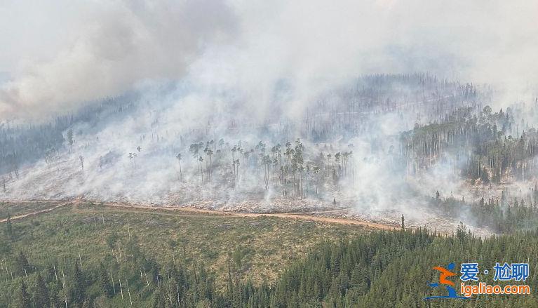 加拿大山火烧毁面积相当于冰岛国土 危险烟雾再次飘入美国？