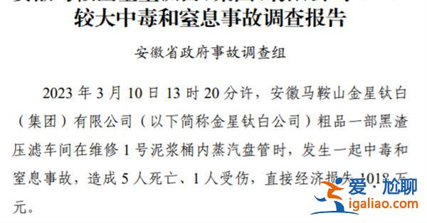 企业发生较大中毒事故致5死1伤 多人被问责处理？