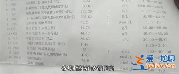 唐山男子在饭店吃到了壁虎[吃到壁虎]？
