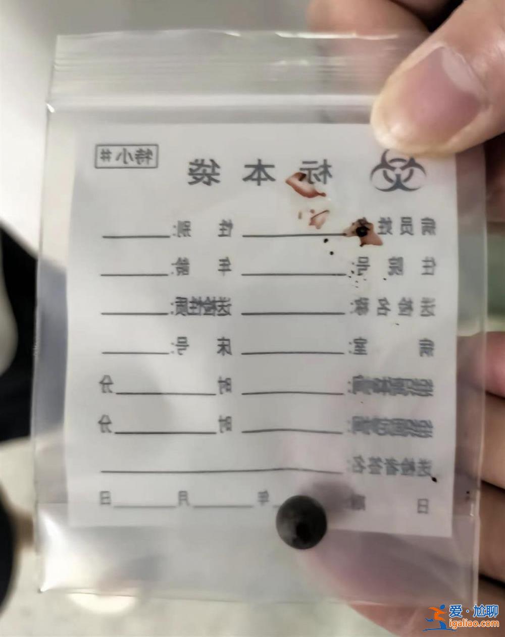 8岁女童被两少年用弹弓射伤致左眼失明 肇事者未达刑责年龄不予立案？