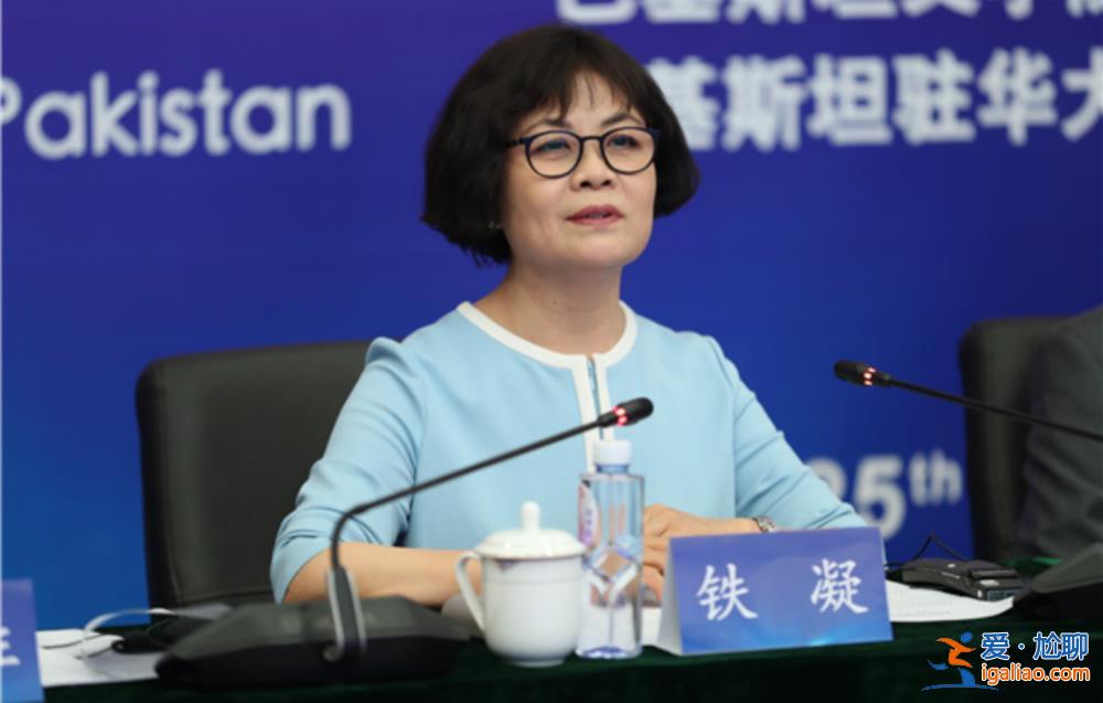 中国作协主席、作家铁凝有了外事新头衔？
