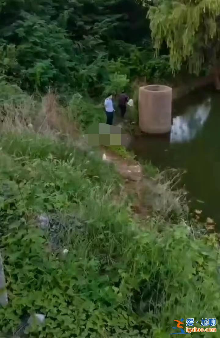 是否喝酒待鉴定？